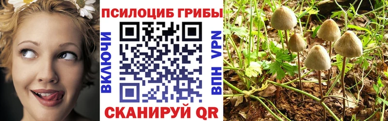 Галлюциногенные грибы MAGIC MUSHROOMS Верея