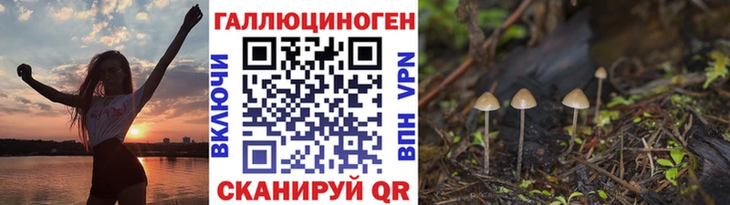 Псилоцибиновые грибы прущие грибы  купить наркотики сайты  Верея 